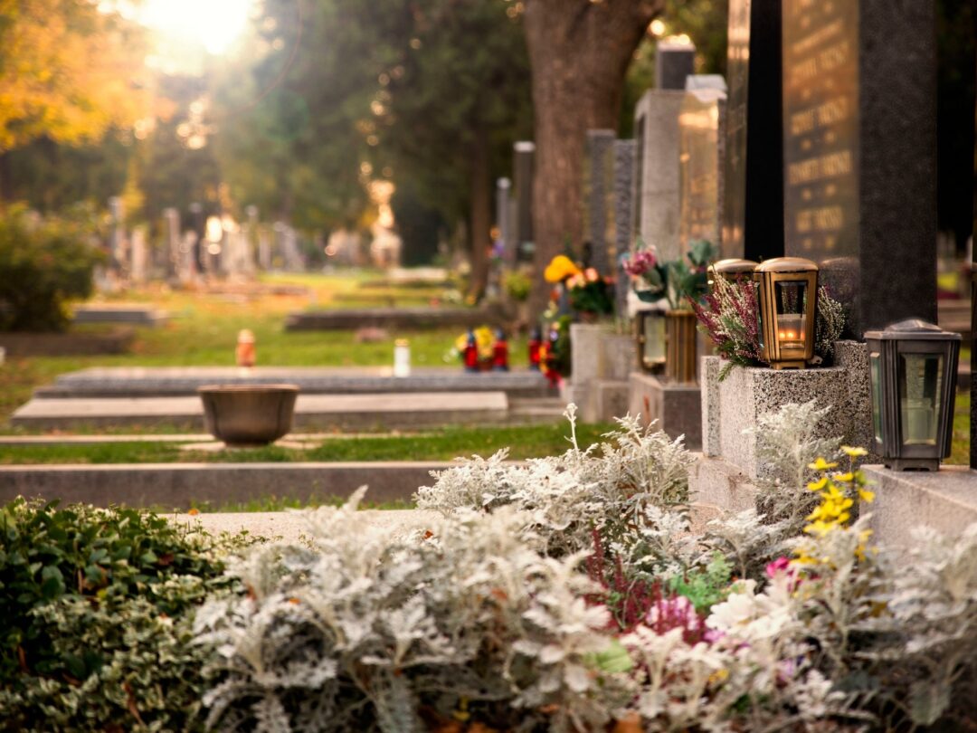 Fleurissement de tombes : un hommage en fleurs, tout au long de l'année