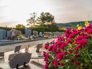 Offre spéciale Toussaint : 1 chrysanthème offert pour un nettoyage de monument