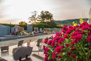 Offre spéciale Toussaint : 1 chrysanthème offert pour un nettoyage de monument